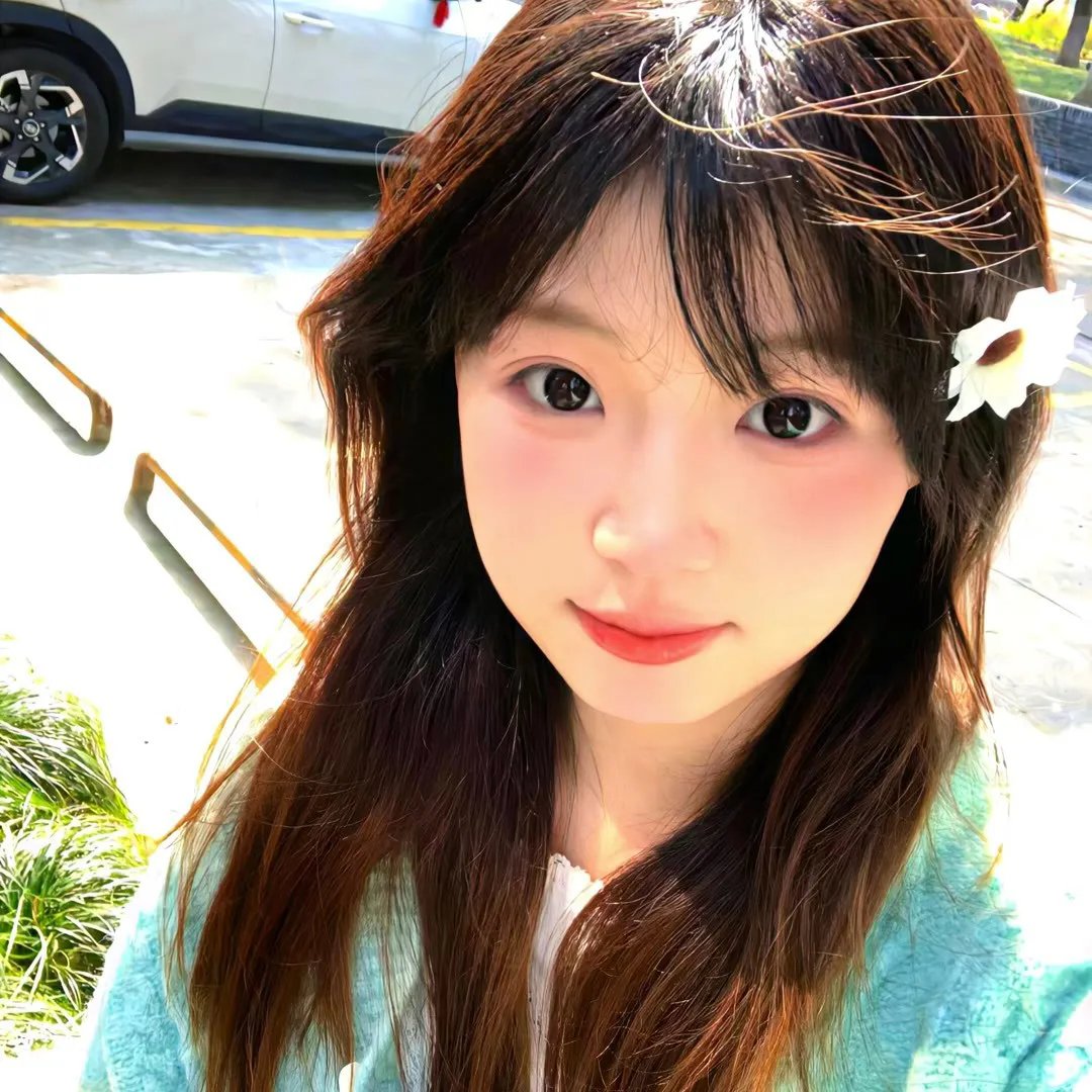 黑艳凤